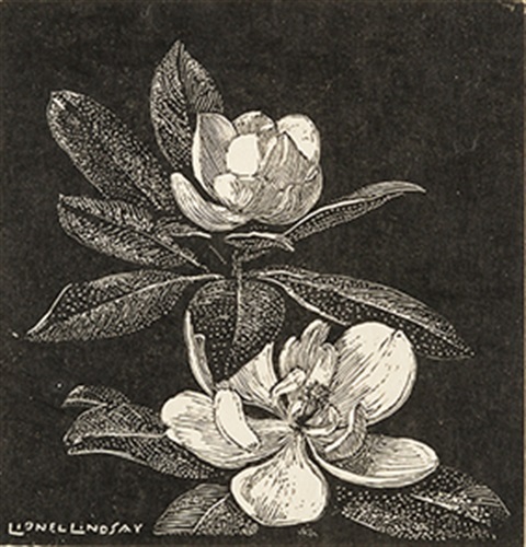 magnolia web.jpg